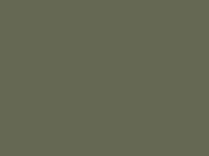 Green Slate Colored Floor Epoxy 100 3 and 15 Gallon Kits ColorTec 500 by SureCrete