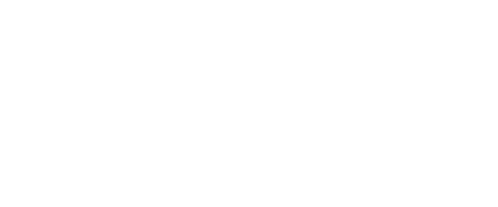 Fenix-Group-Logo-Specialty-Performance-Coatings